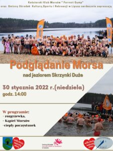 Plakat zapraszający do udziału w podglądaniu morsa, u góry zdjęcie grupy morsów, tło jest szare, po prawej na dole zdjęcie morsów, po lewej program, data, godzina, miejsce wydarzenia, na dole patroni wydarzenia