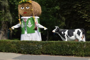 Zdjęcie dziewczyny ze słomy i sztucznej krowy na dożynkach