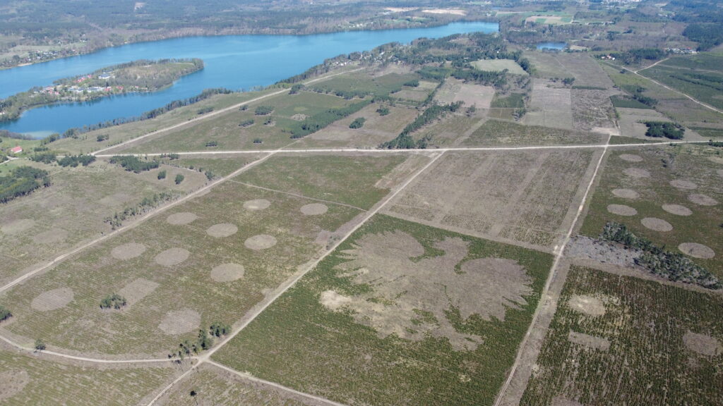 zdjęcie z lotu ptaka na którym widać teren otaczający nasadzenia z drzew w kształcie orła