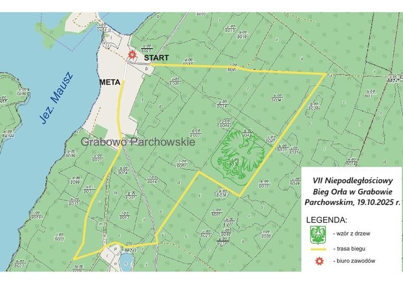 mapa topograficzna z numerami działek oraz oznaczeniem legendy i wzoru z drzew w kształcie orła